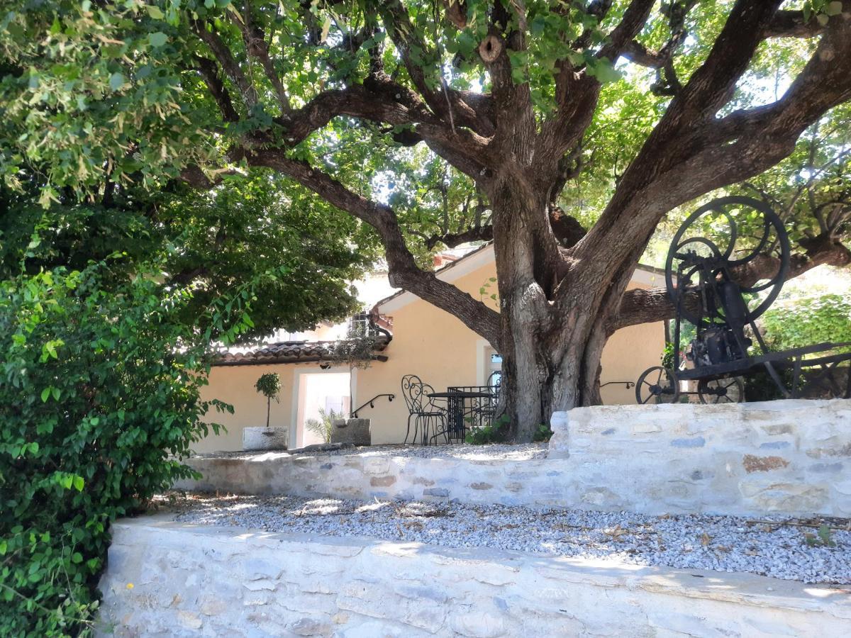 Le Gite Calluna Sablet Bagian luar foto