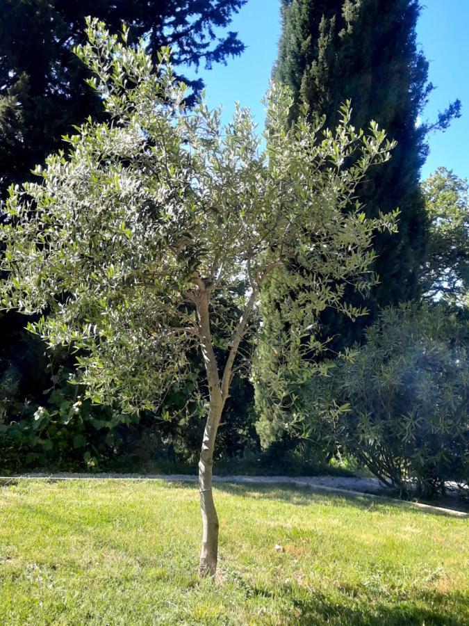 Le Gite Calluna Sablet Bagian luar foto